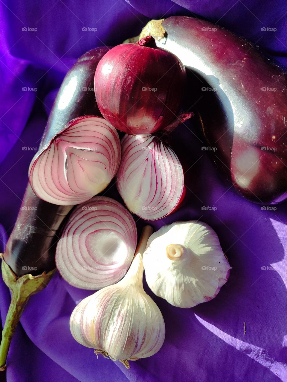 Purple Onion in section. Garlic.