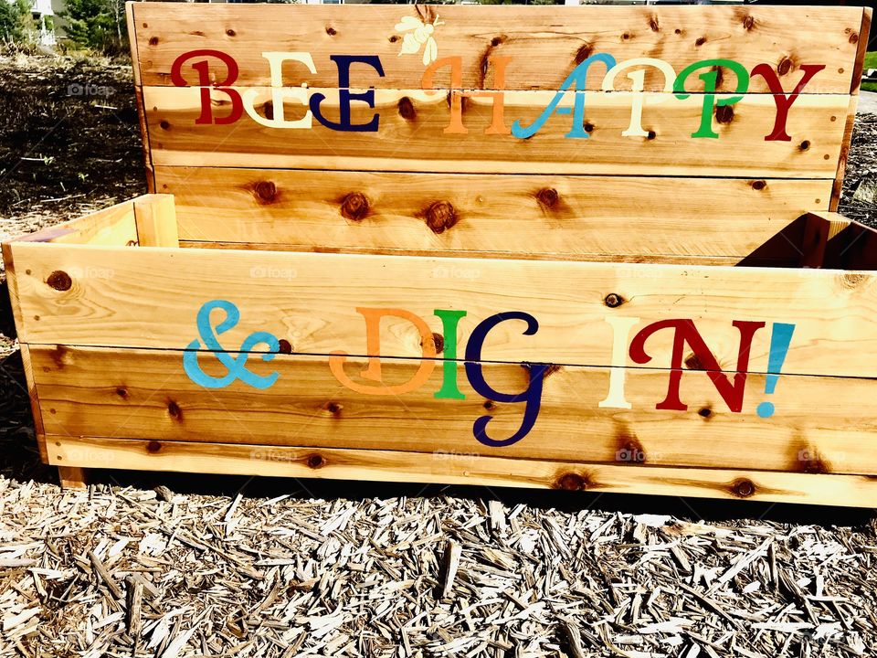 Gorgeous sites seen out for morning walk while trying to take in what nature all has to offer! 