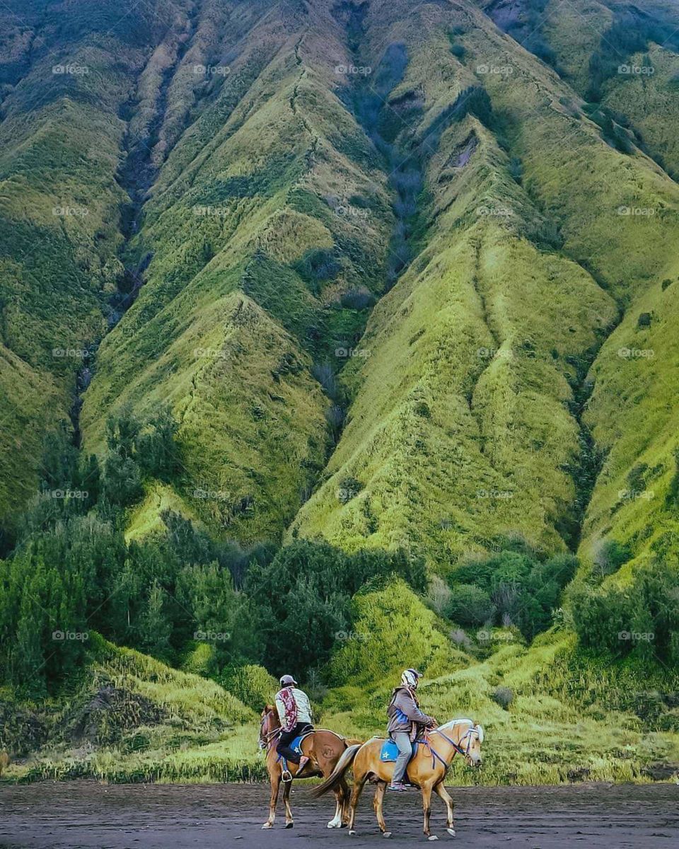 bromo