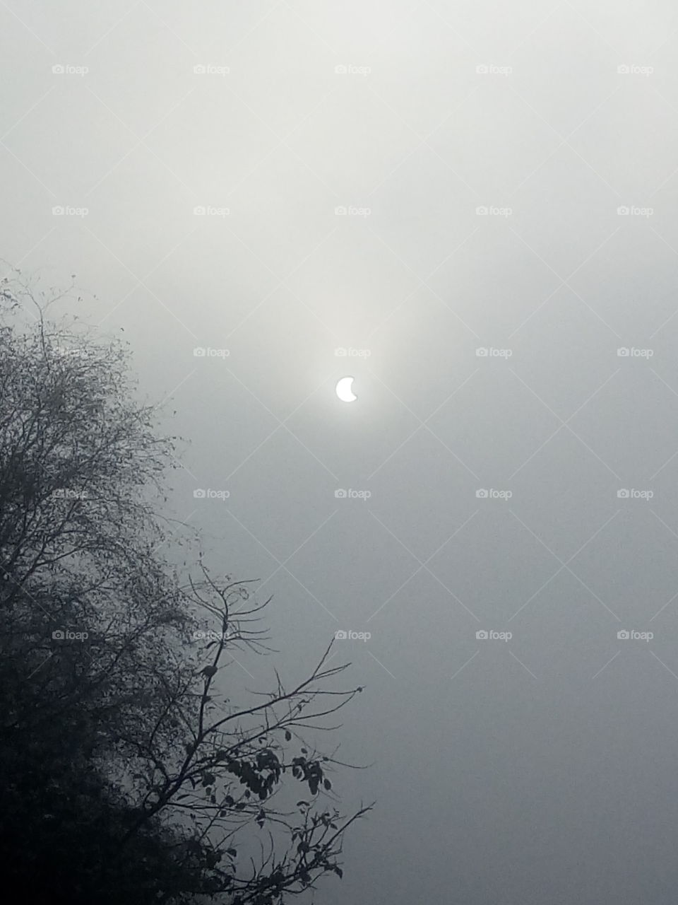 solar eclipse in 29 December 2019 at morning.