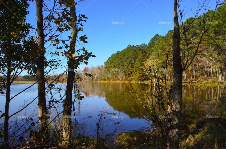 Radiant Lake