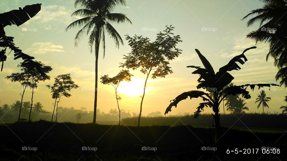sunrise in village