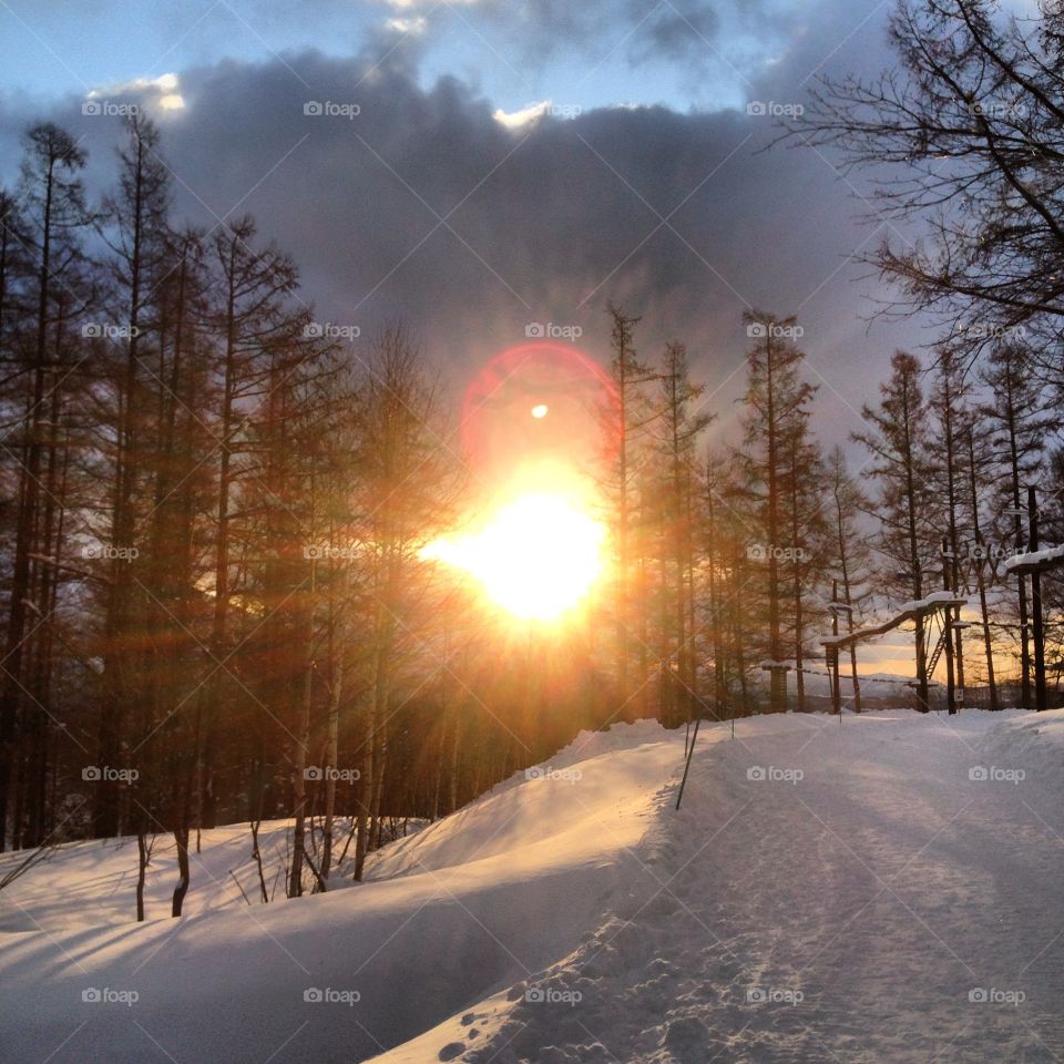 Sunrise in Niseko Japan 