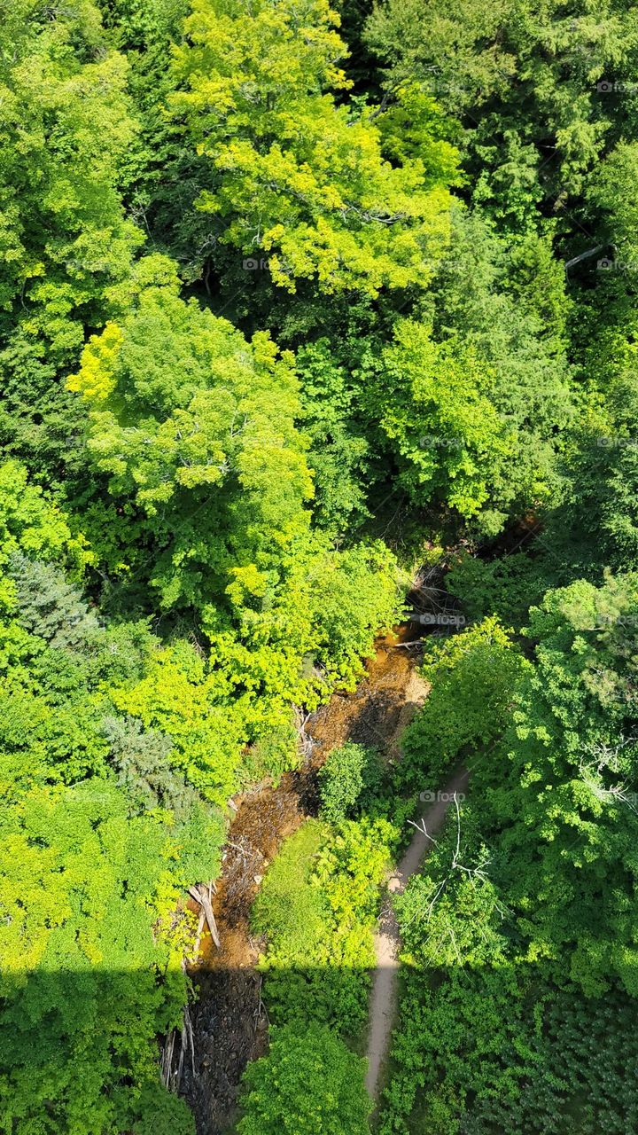 The Cut River and Trail