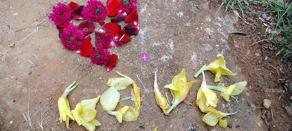 explosion of colors heart lover