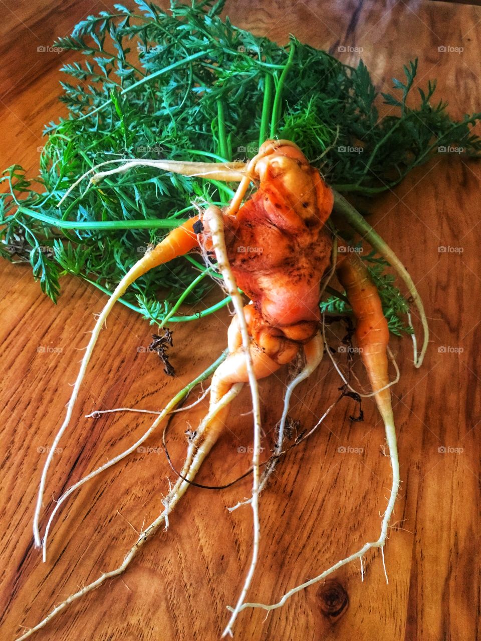 Deformed carrot