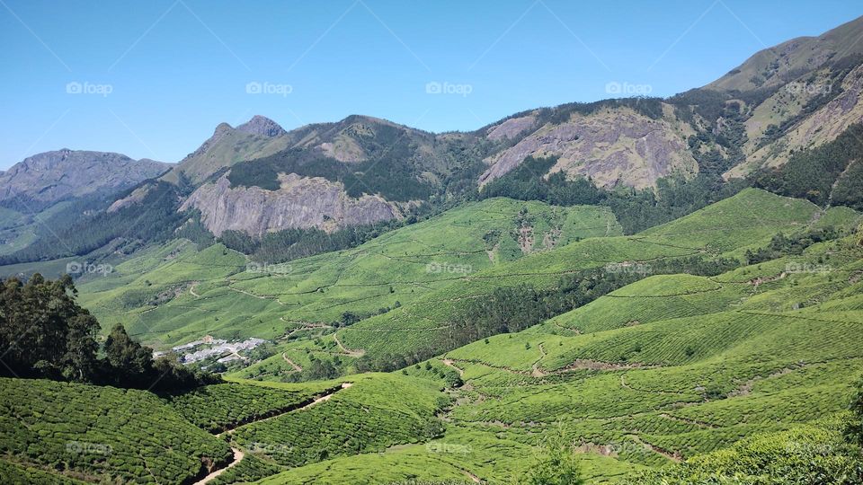 "Nature is pleased with simplicity." 