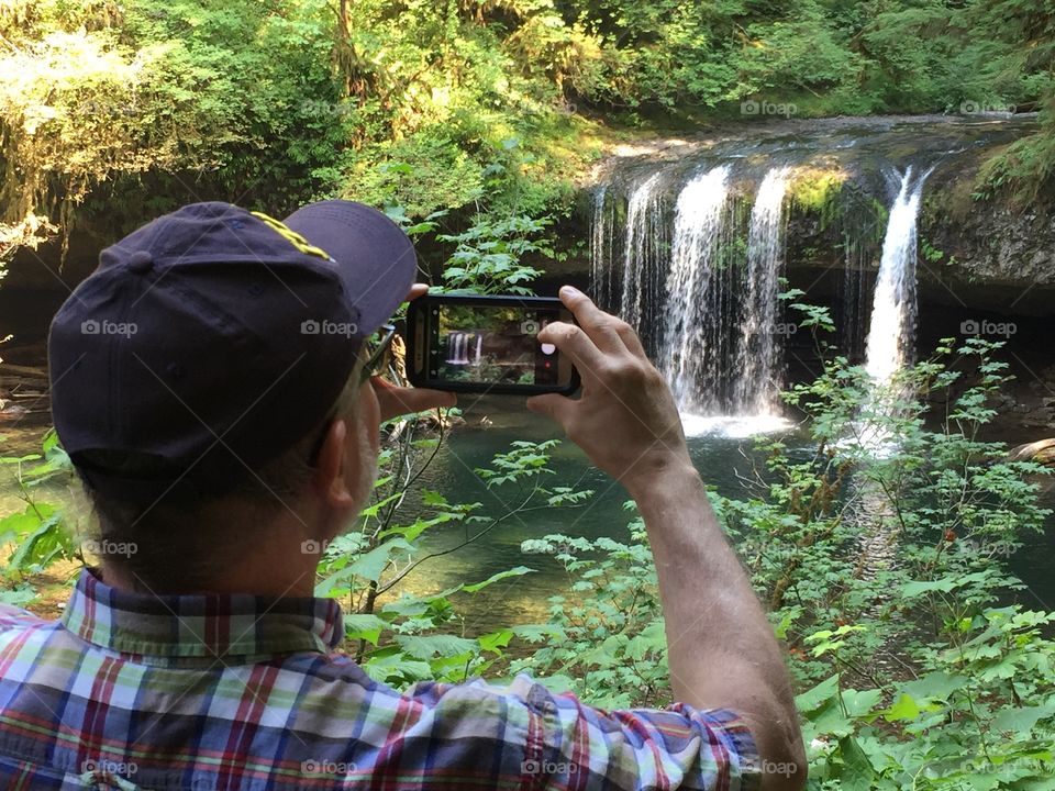 Oregon forest 