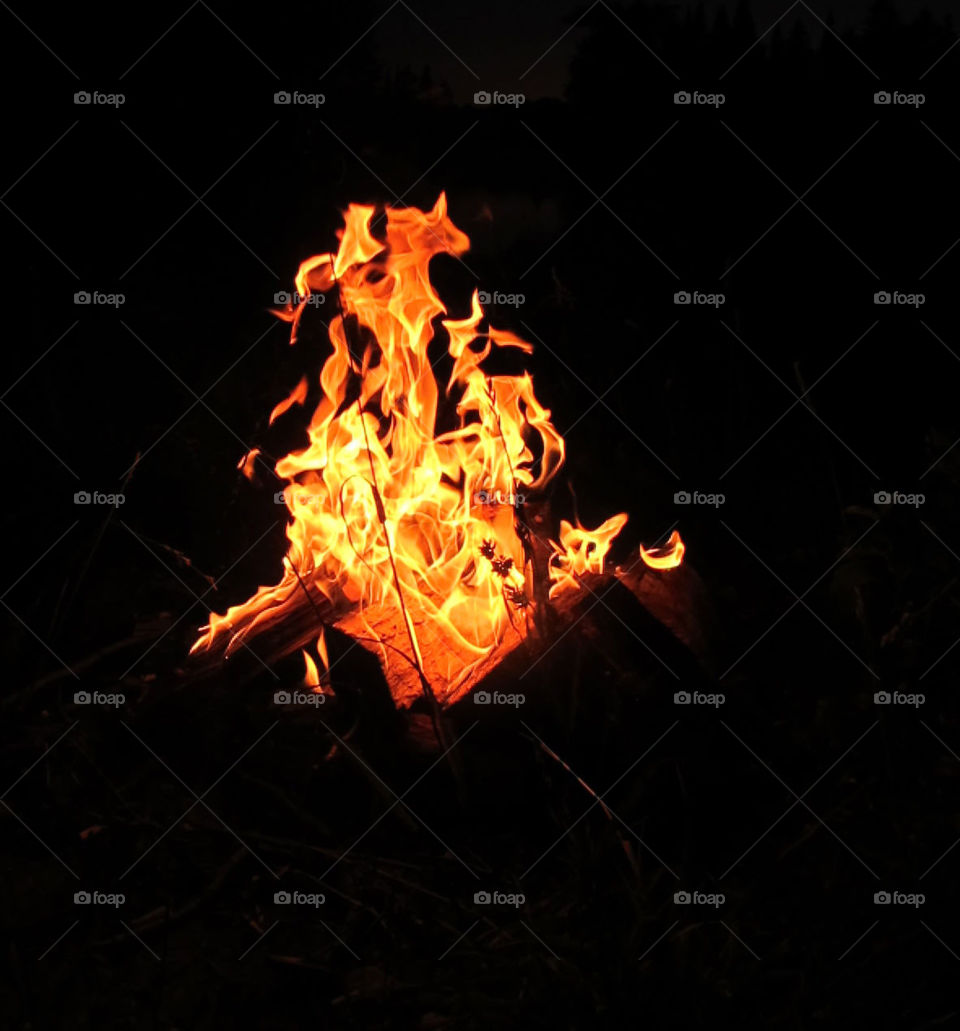 Bonfire