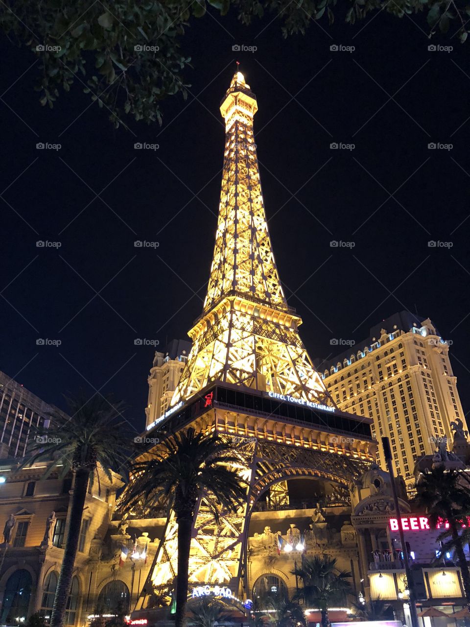 The Amazing Eiffel Tower