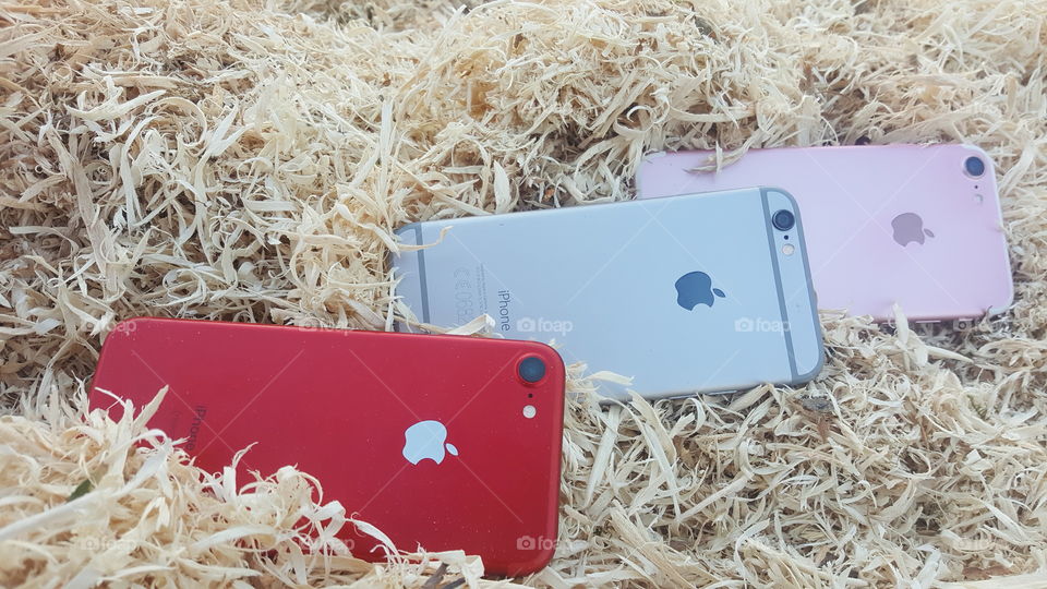 beatiful color iphone