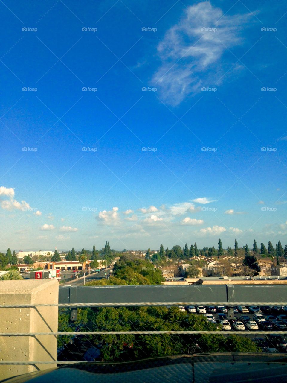 City View

Published by:
HappyBrownMonkey 