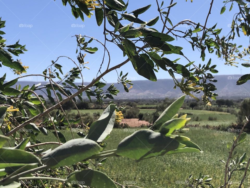 Beautiful field and view to landscape.