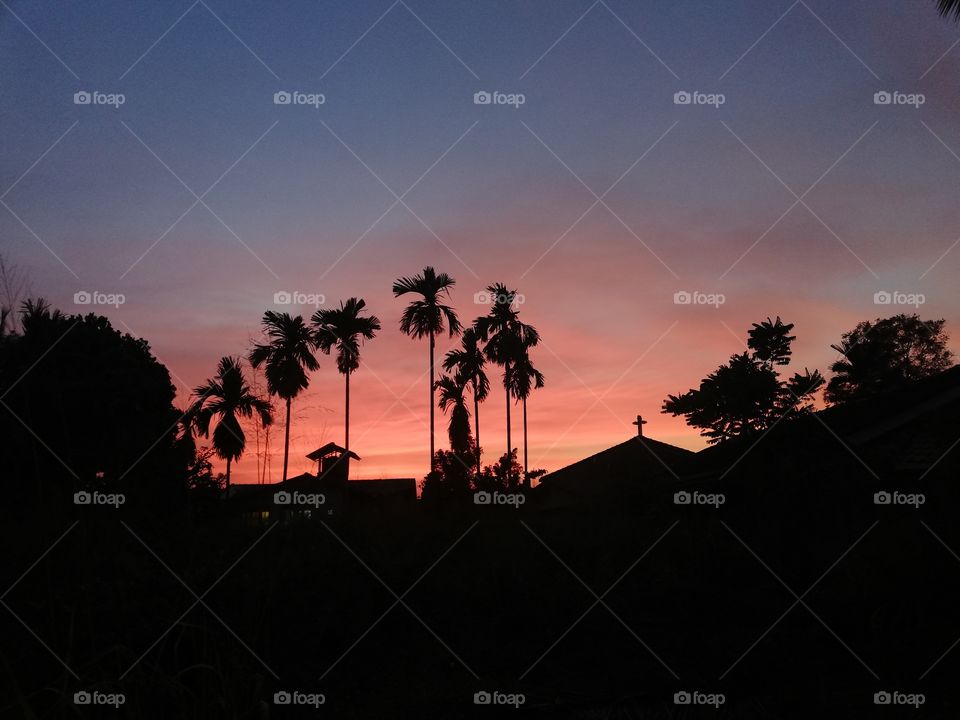 Colors of evening sky
Church views
Evening
Trees in dark