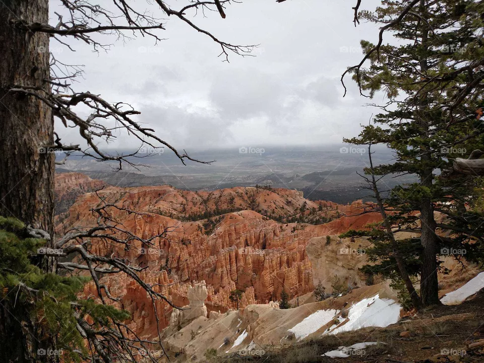 Bryce