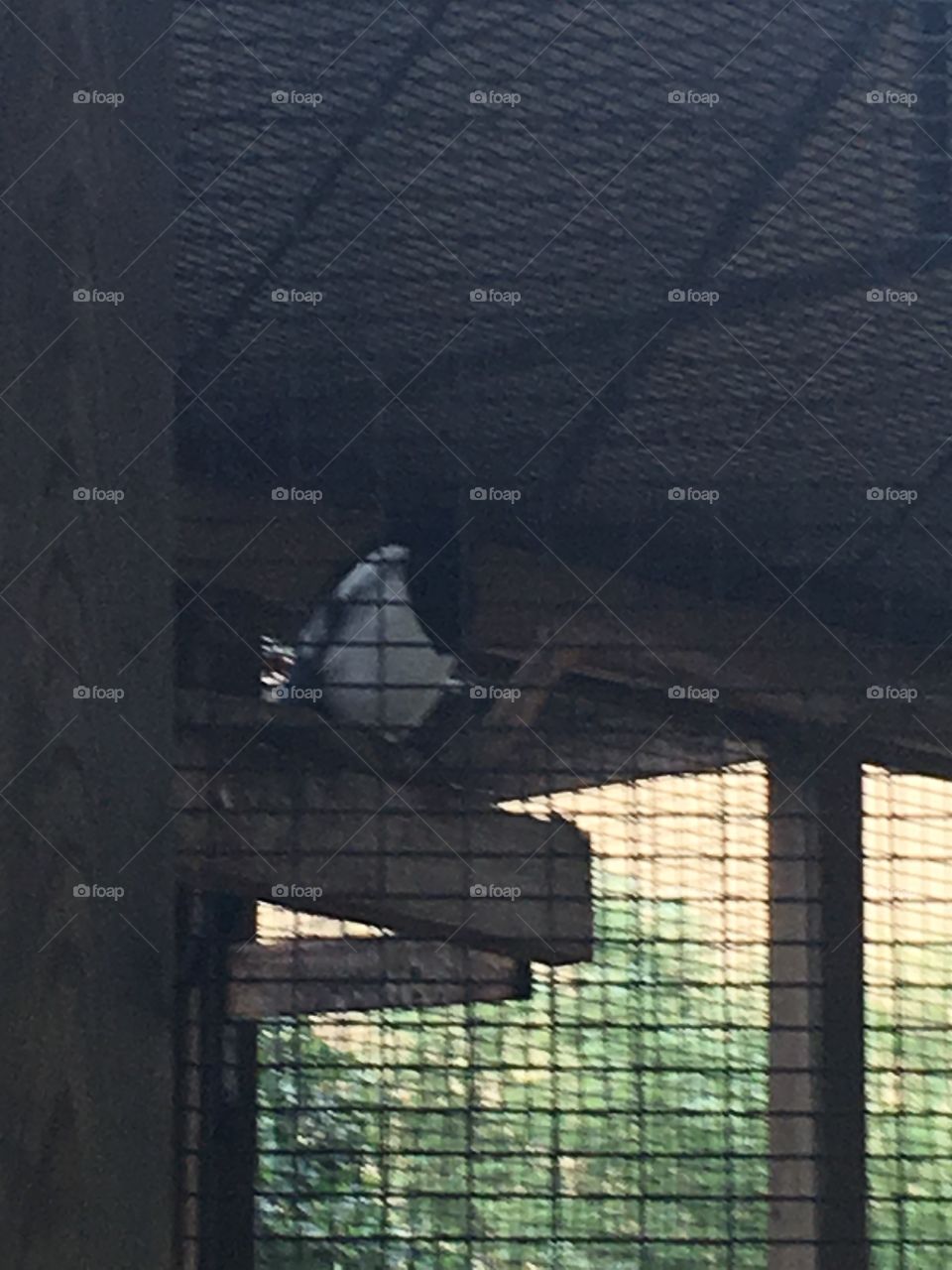 No Person, Architecture, Building, Light, City