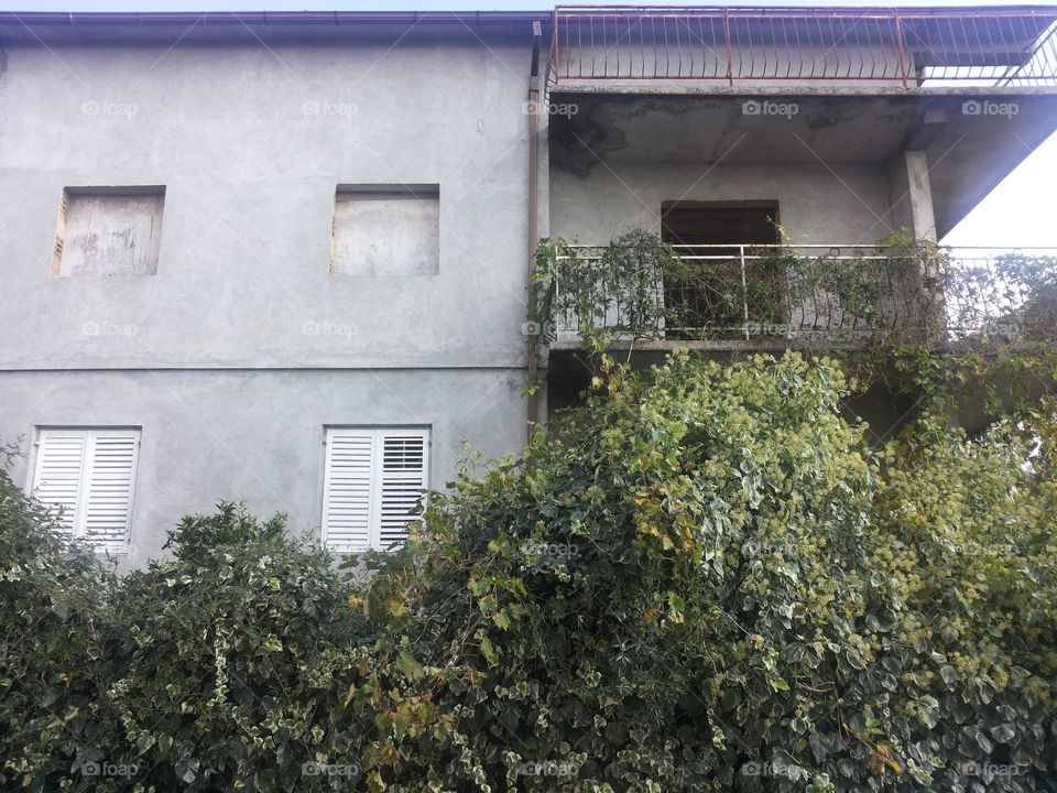 old billding. old billding fro. back yard