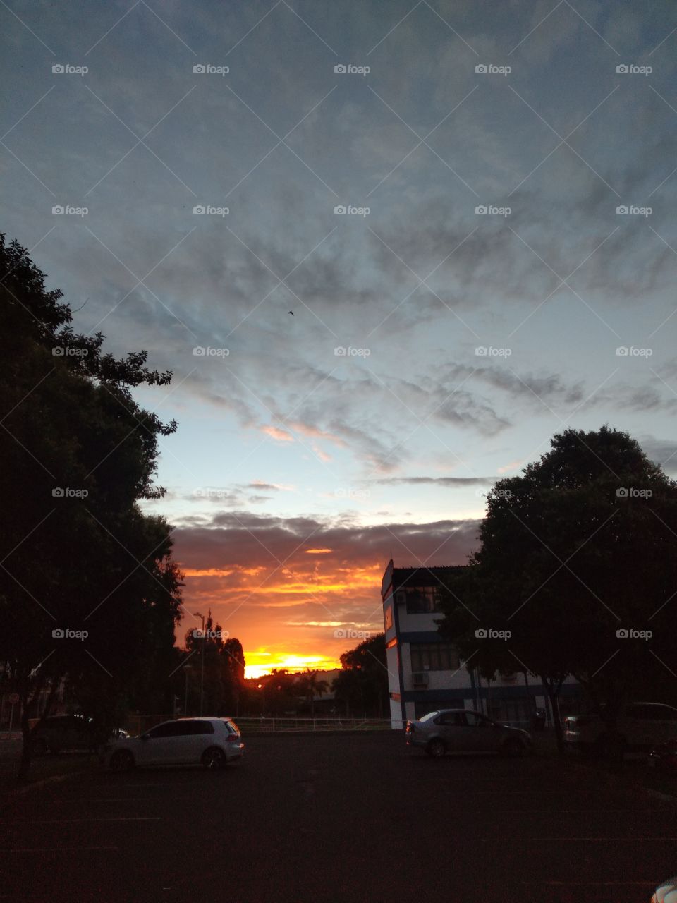 welcome to foap, beautiful nature