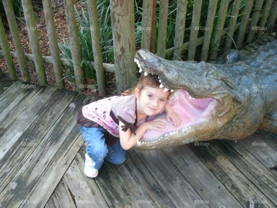 Visit the St. Augustine Alligator Farm