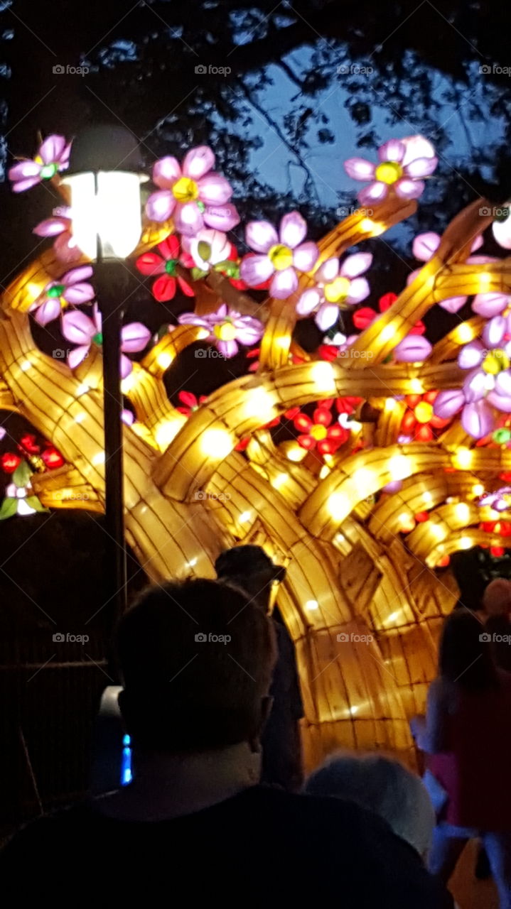 Lightpost And Artistic Lantern