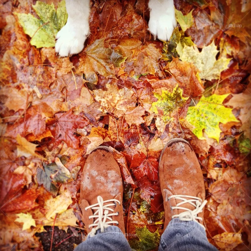 fall