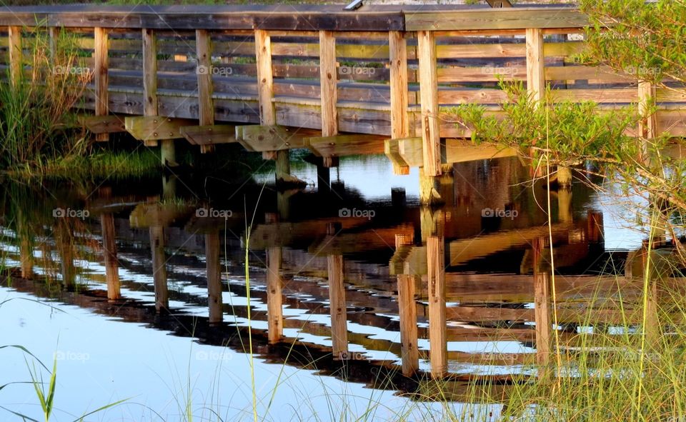 Boardwalk Reflection 