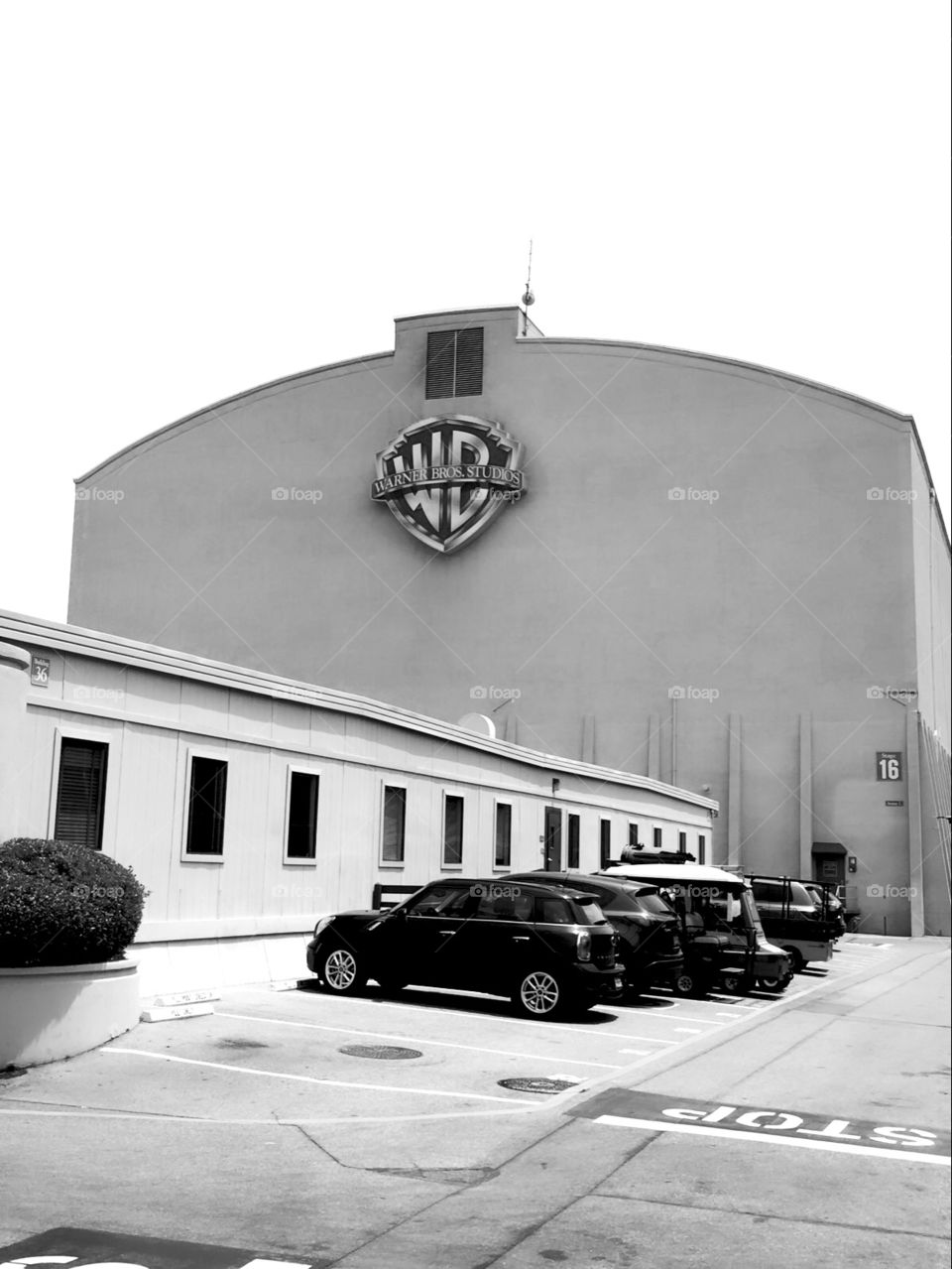 Warner bros 