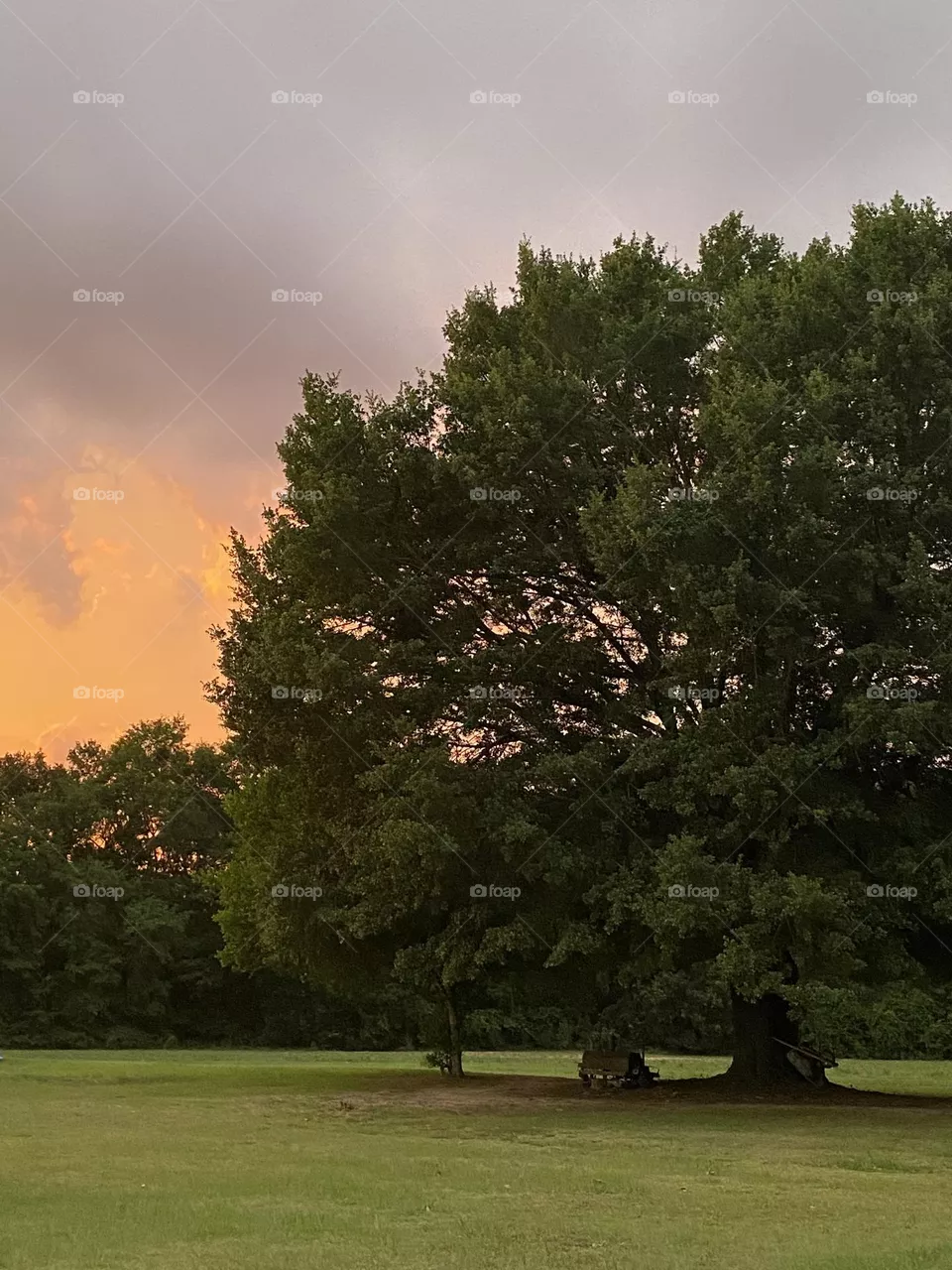 Beautiful sky 