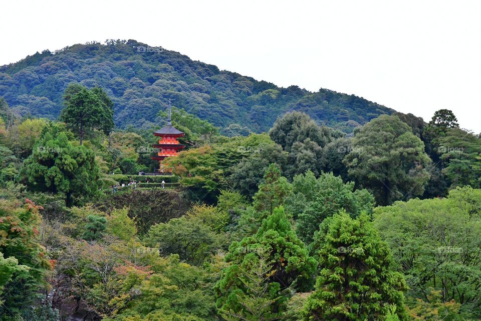 Japan's landscapes