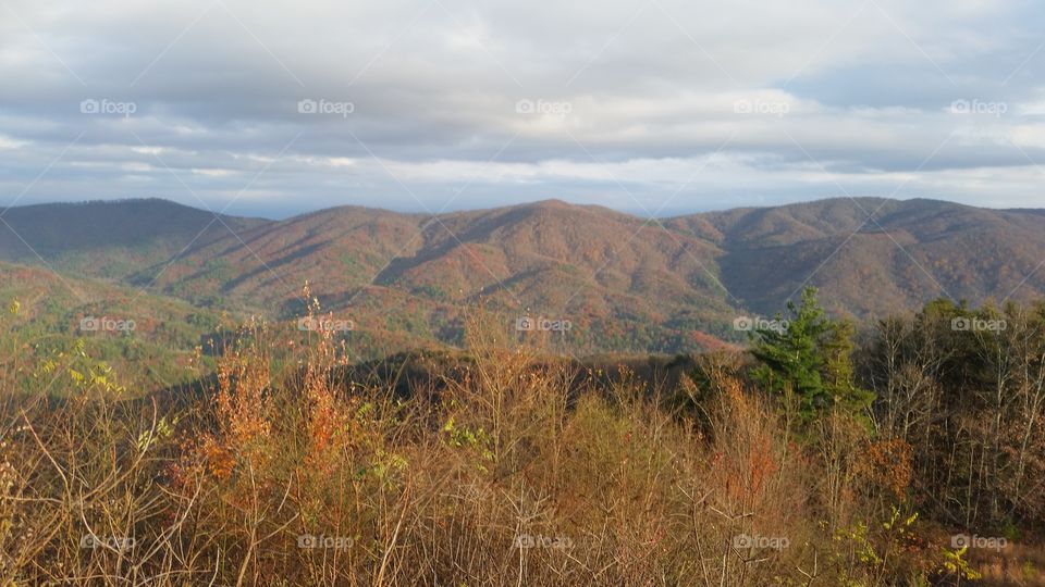 North Georgia Mountains