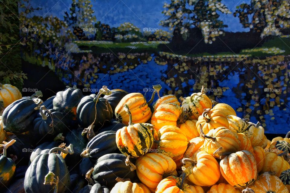 Colorful pumpkins