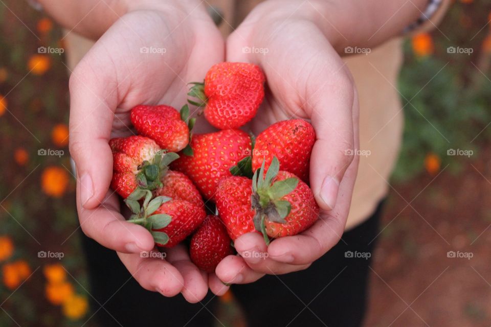 Strawberry!!!