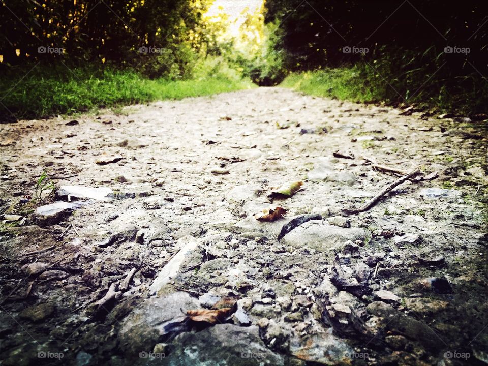Stone trail