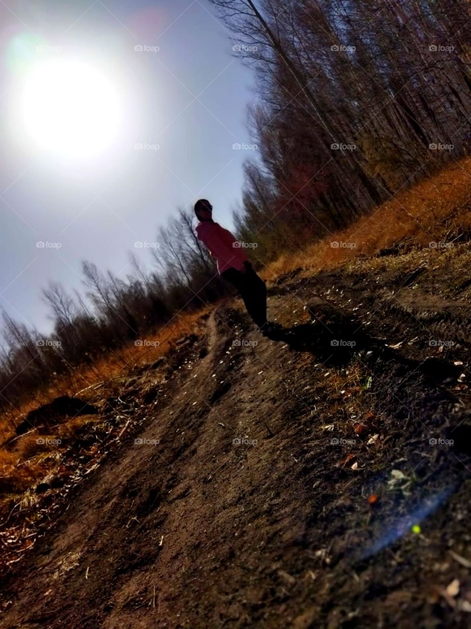 Forest fairy tale, tree, autumn forest, walk in the fresh air, road