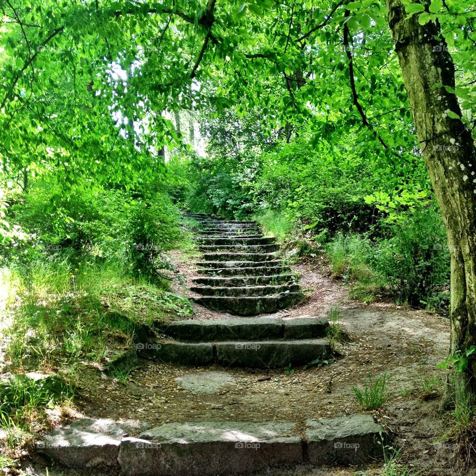 Stairs in the park