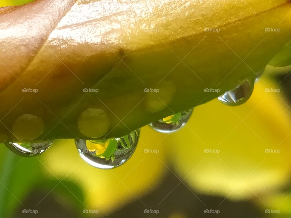 Reflection inside water droplets
