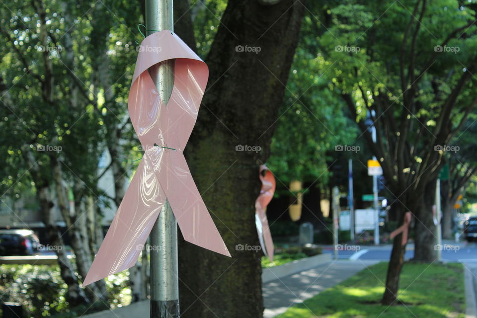 pink ribbon