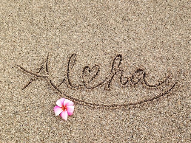 Plumeria Aloha