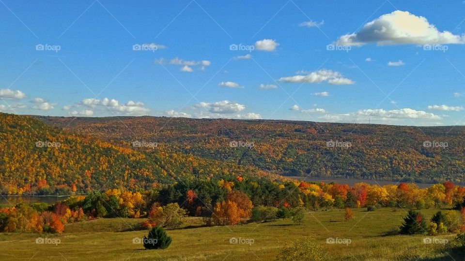Fall Foliage