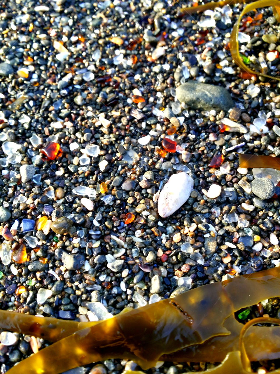 Sea Glass, Your origin is unknown, a mystery... a sea treasure I come to hold!