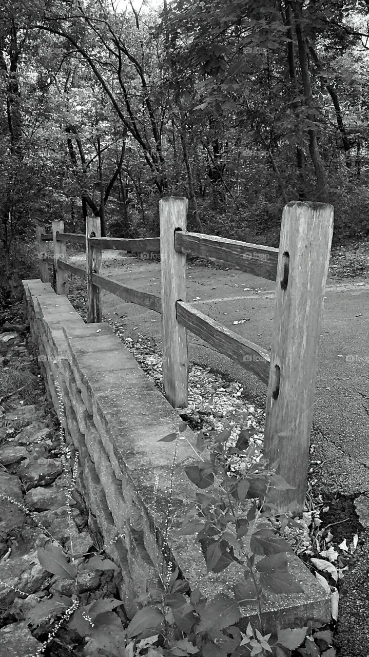 Fence b&w