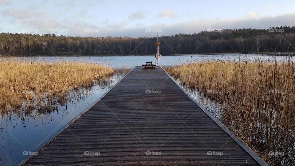 Jetty on the lake surrounded by reeds Sweden - brygga sjö vass skog Sverige