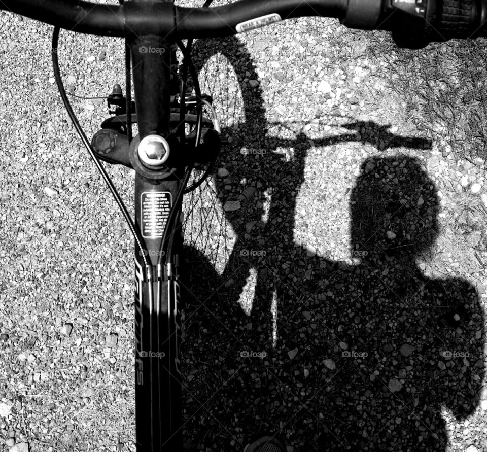 Bicycle Shadow