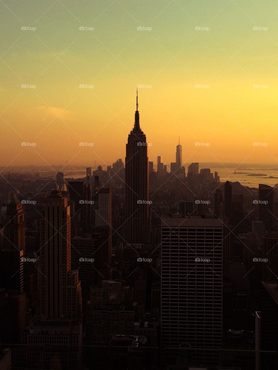 New York city at twilight