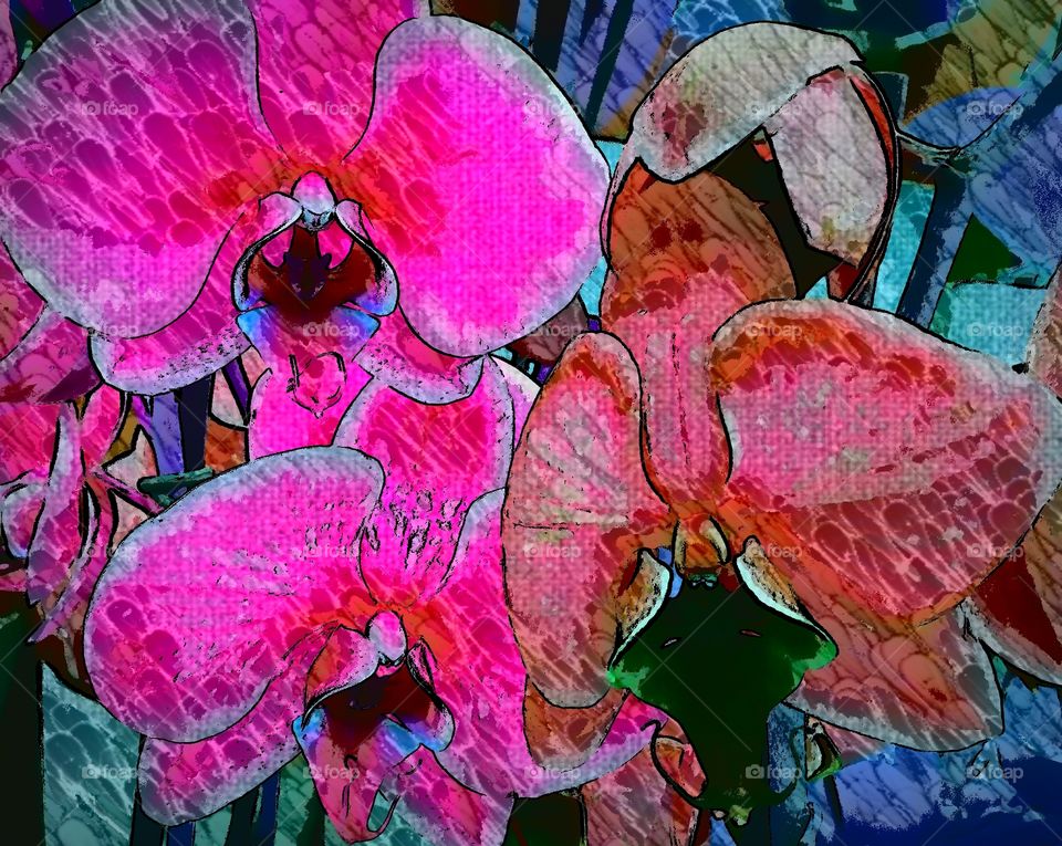 orchids