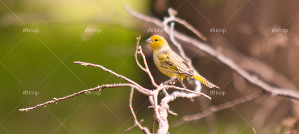 Rio Grande do Sul, Brazil