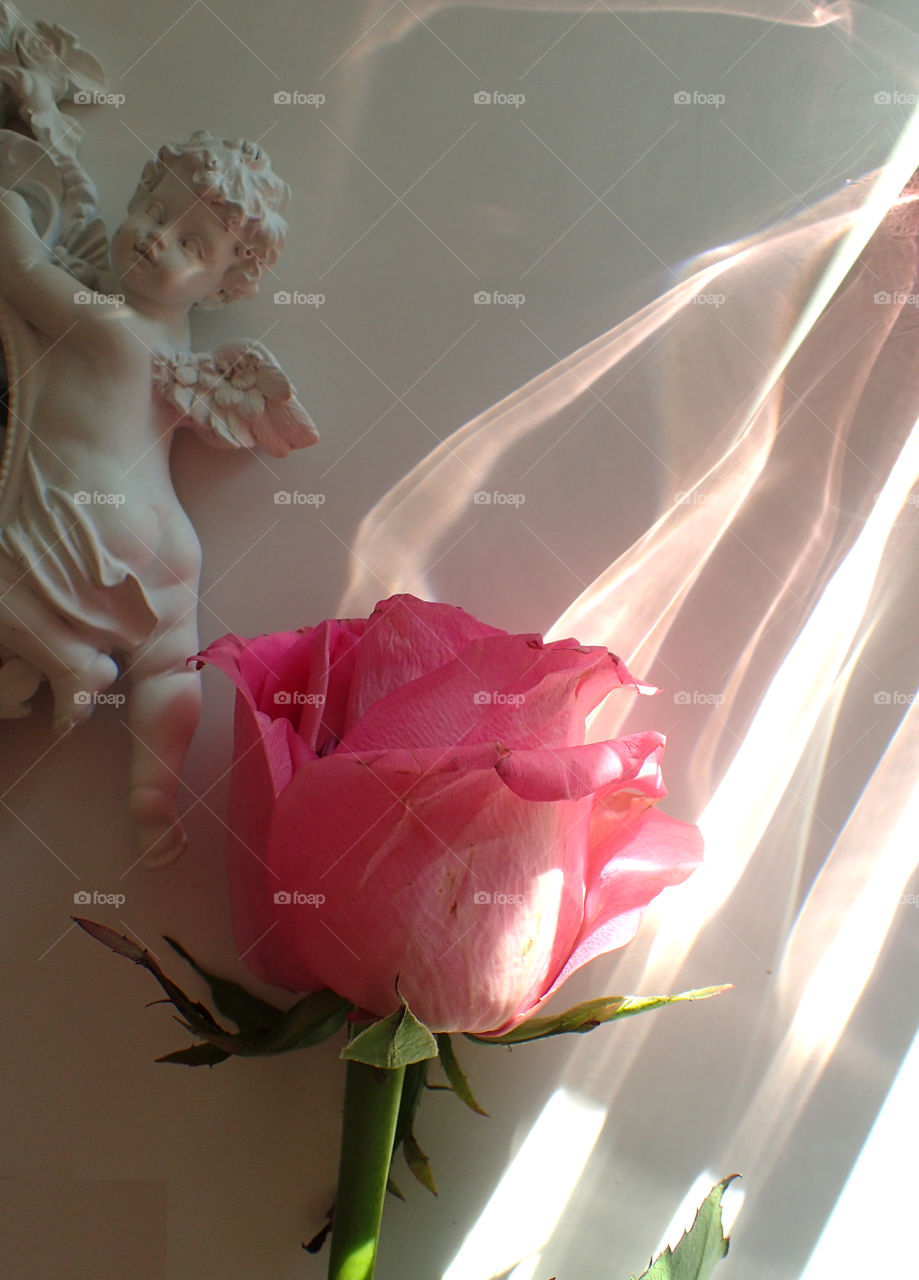 Pink rose and a cupid in beautiful light
