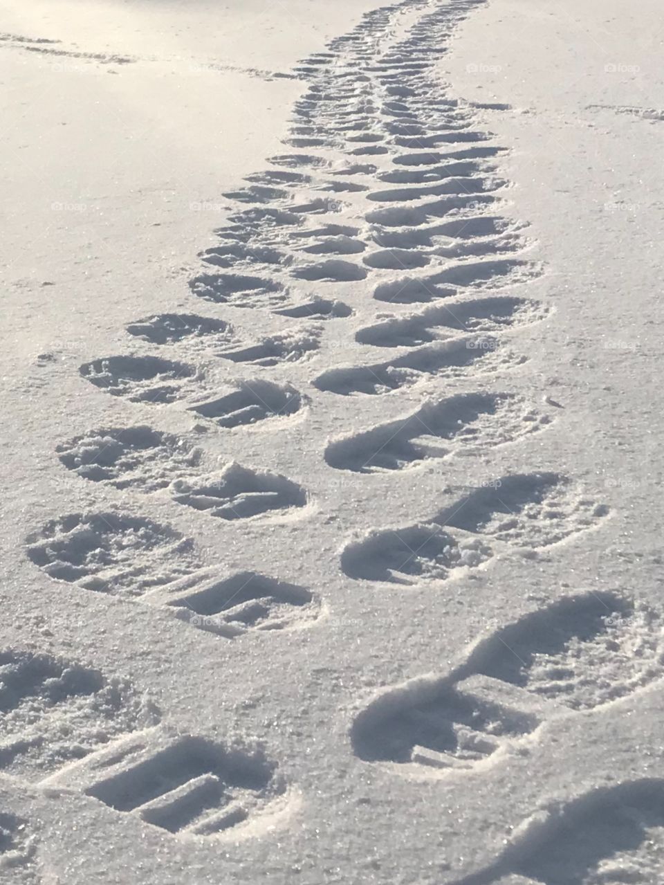 Snow. Footprint