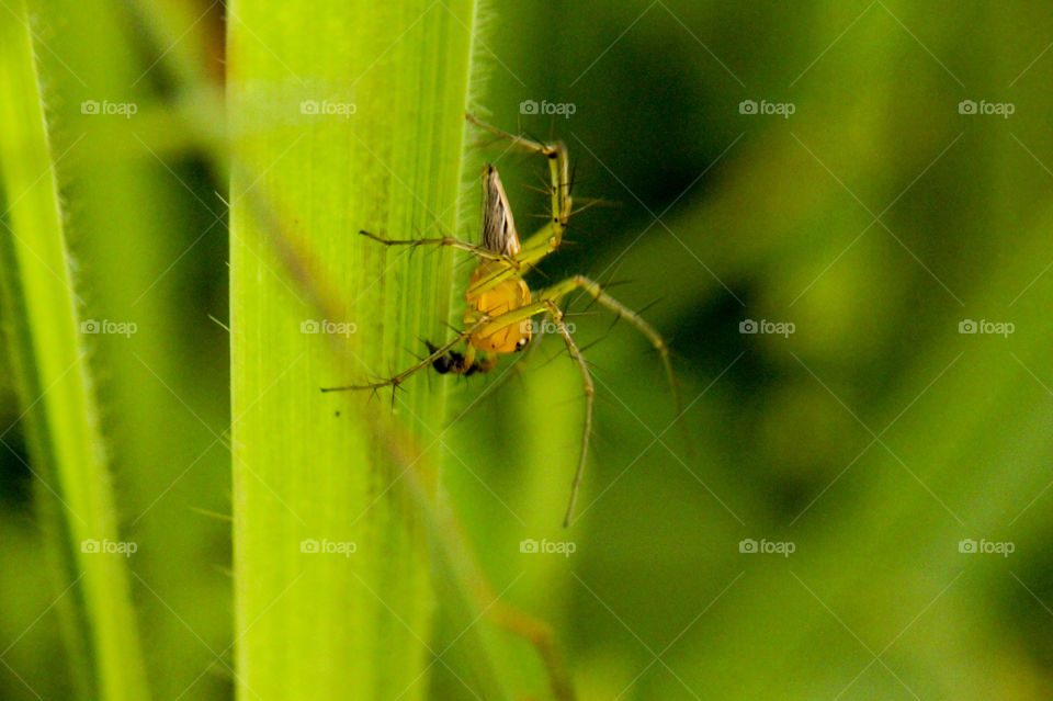 nature is from the gift of god ! keep mind that it's for all !