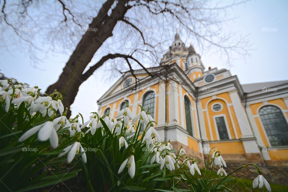 Spring in Stockholm 